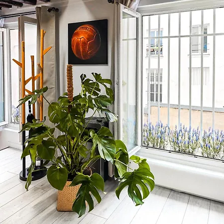 Apartman Rustic Charm&dreamhome 40m2 In The Heart Of Paris, Near Pompidou And Notre-dame, Subway 4,8,9 Honeymoon Favourite Párizs
