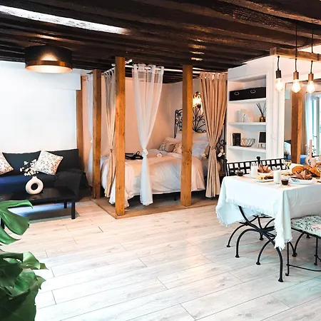 Rustic Charm&dreamhome 40m2 In The Heart Of Paris, Near Pompidou And Notre-dame, Subway 4,8,9 Honeymoon Favourite